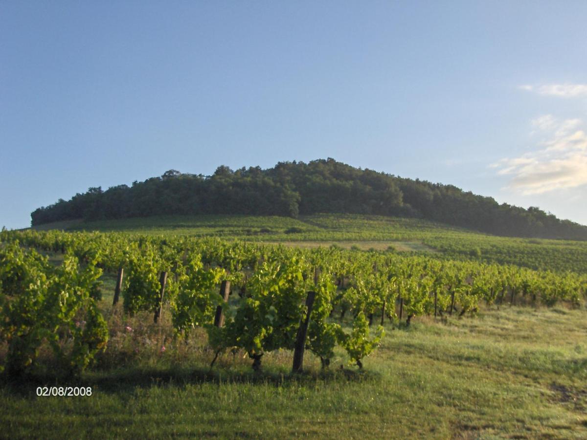 La Maison Du Vigneron Ternand Luaran gambar